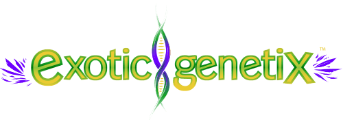 Exotic Genetix