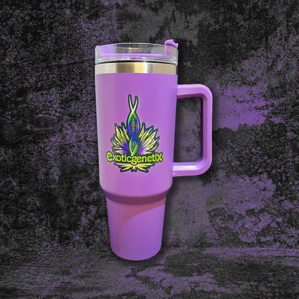 Purple Stanley Cup – Exotic Genetix