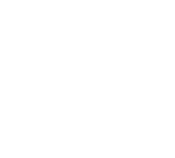 black-bull-logo