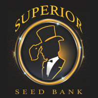 superior-seed-bank